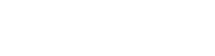 Logo de Central Value